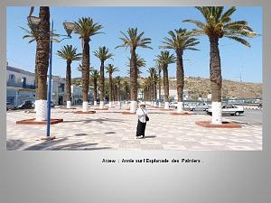 2eme Partie Oranie  Arzew-Fontaine des Gazelles (4)